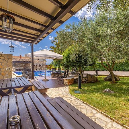 Villa Haya With Heated Pool Linardići Extérieur photo