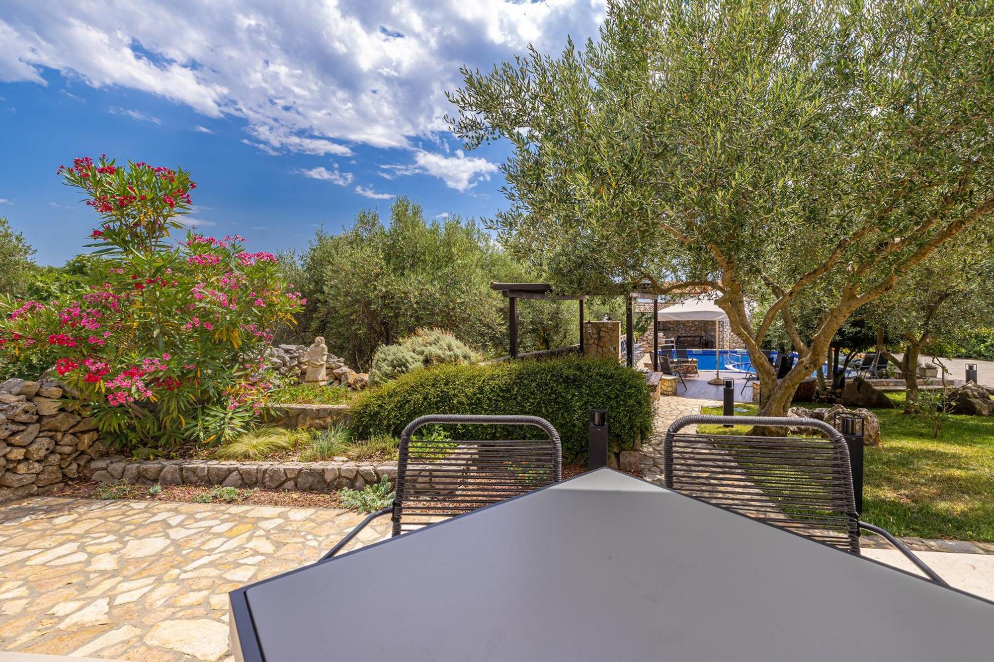 Villa Haya With Heated Pool Linardići Extérieur photo