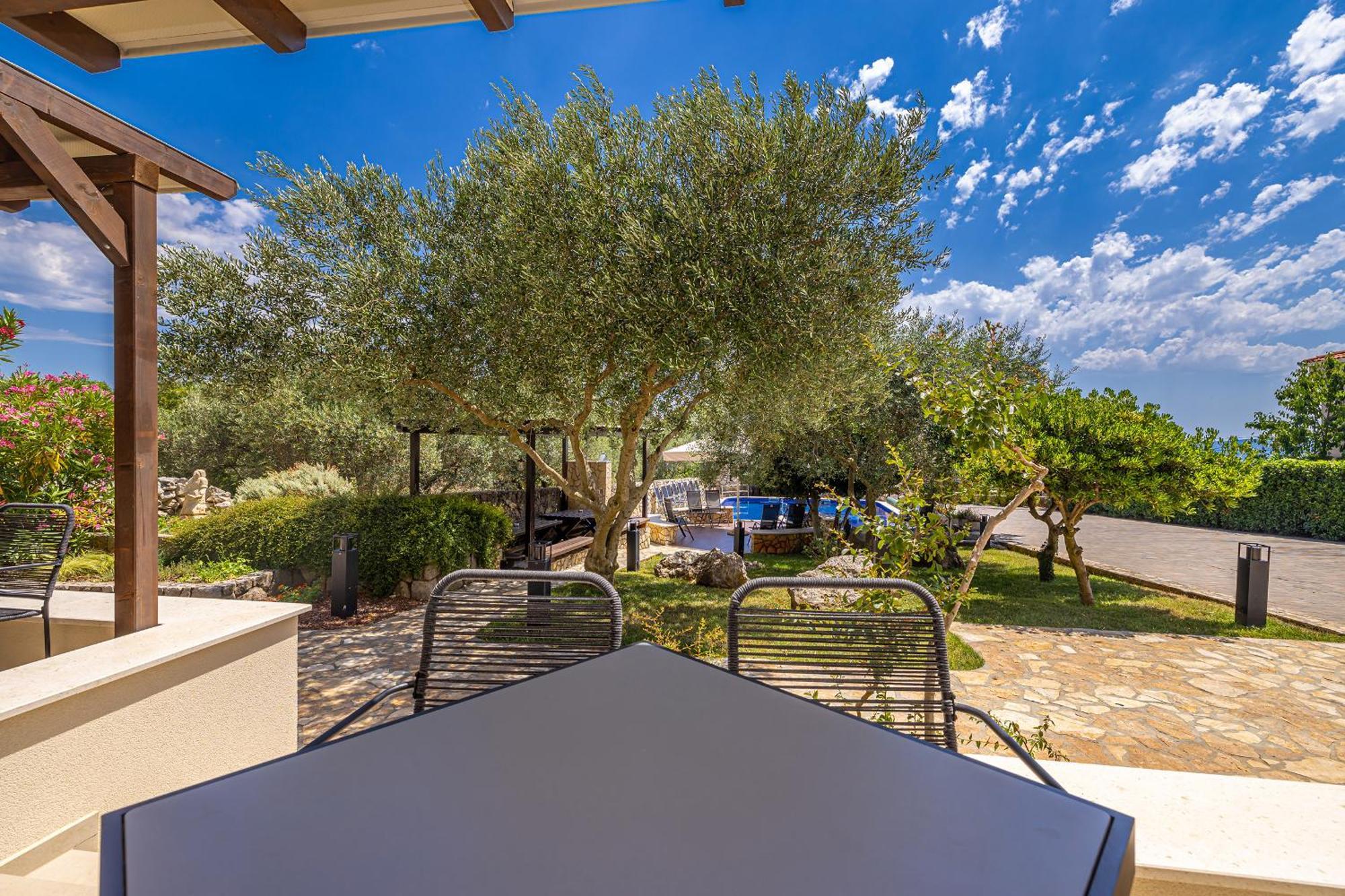 Villa Haya With Heated Pool Linardići Extérieur photo