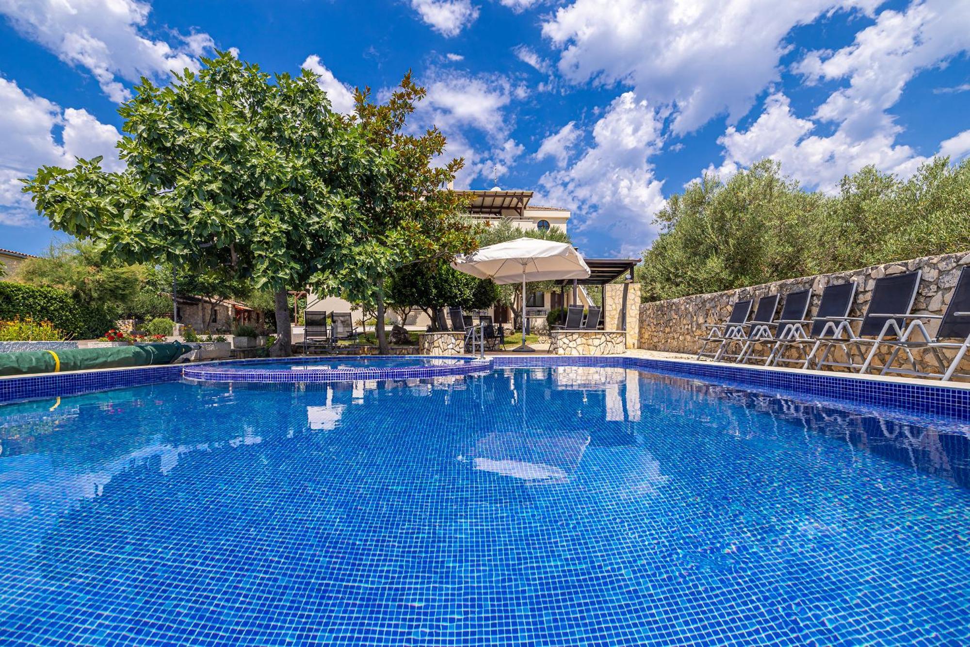 Villa Haya With Heated Pool Linardići Extérieur photo