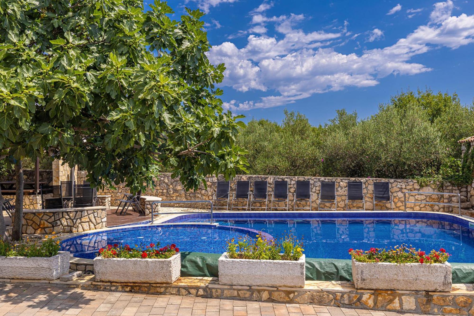 Villa Haya With Heated Pool Linardići Extérieur photo